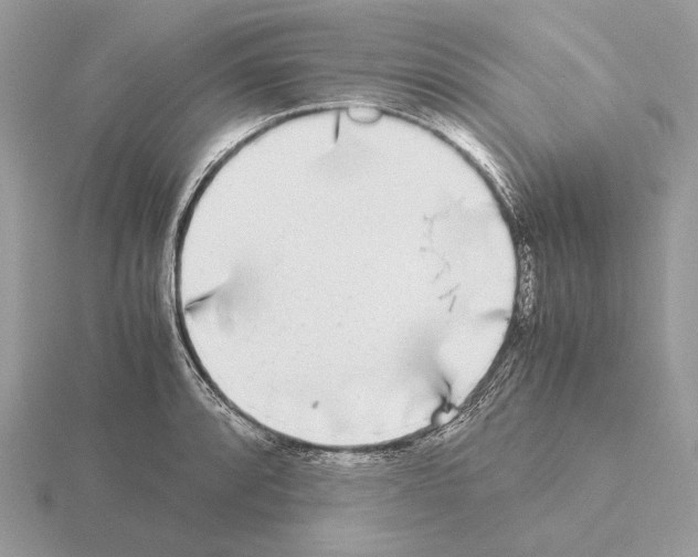 X0000115301088200912141112