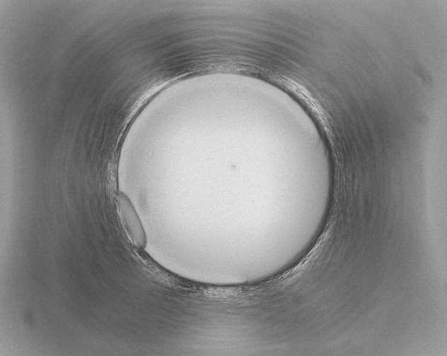 X0000115301089200912141112