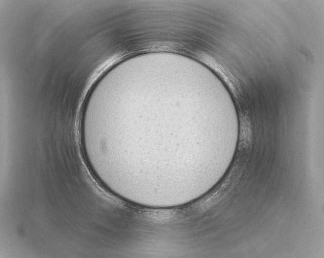 X0000115301090200912141112