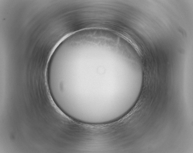 X0000115301092200912141112