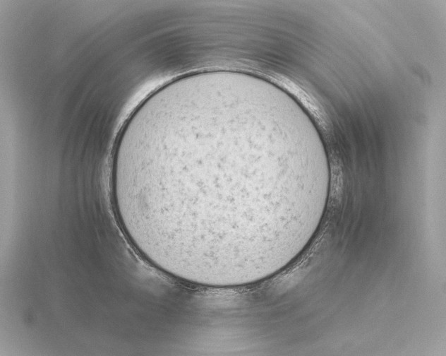 X0000115301094200912141112