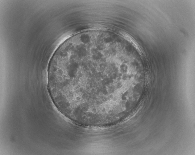 X0000115301095200912141112