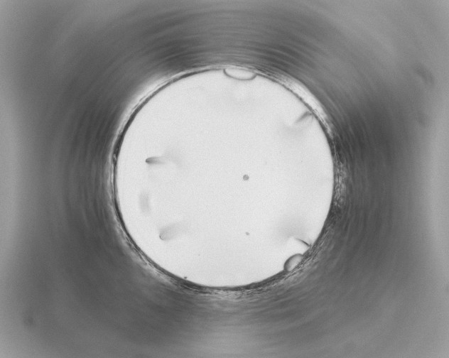 X0000115301096200912141111