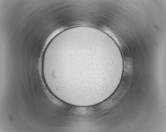 X0000115301098200912141111