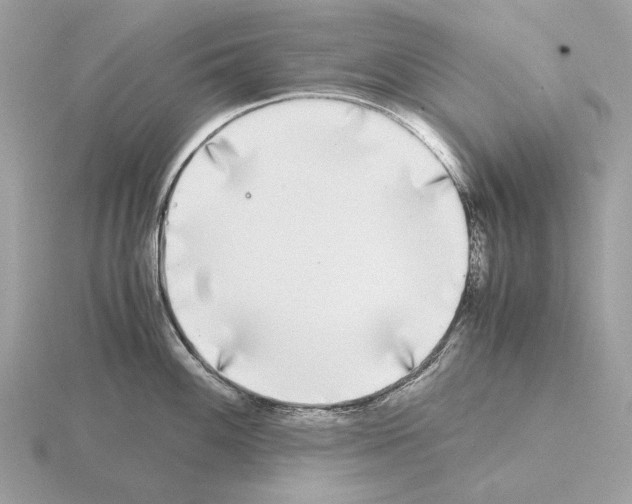 X0000115301100200912141111