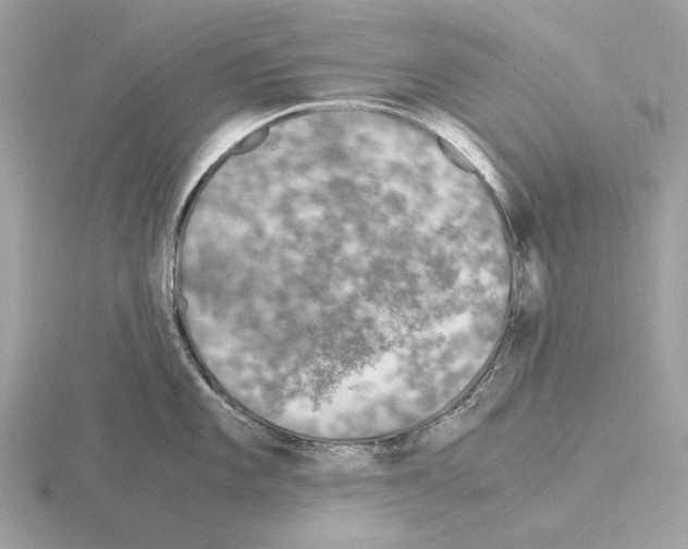 X0000115301101200912141111