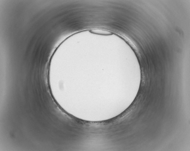 X0000115301102200912141111