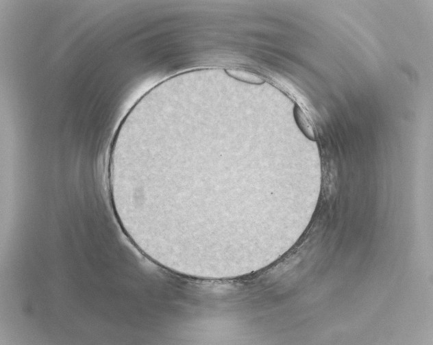 X0000115301103200912141111