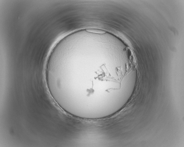 X0000115301104200912141111