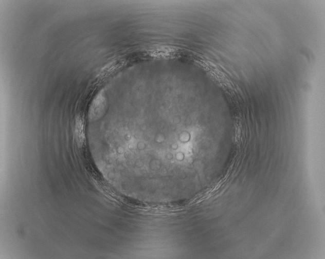 X0000115301106200912141111