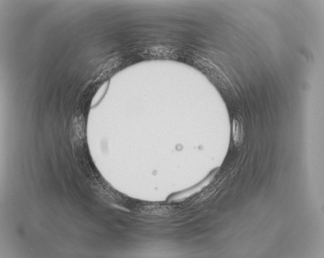 X0000115301107200912141111