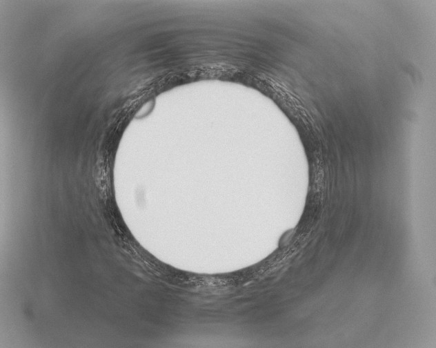 X0000115301109200912141111