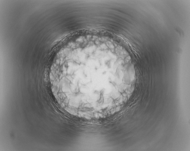 X0000115301110200912141111