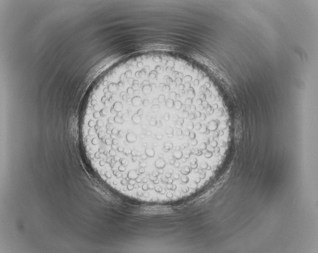 X0000115301113200912141111