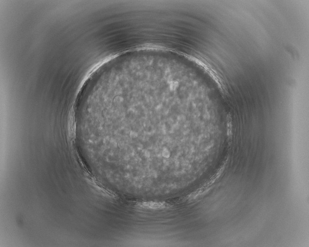 X0000115301117200912141111