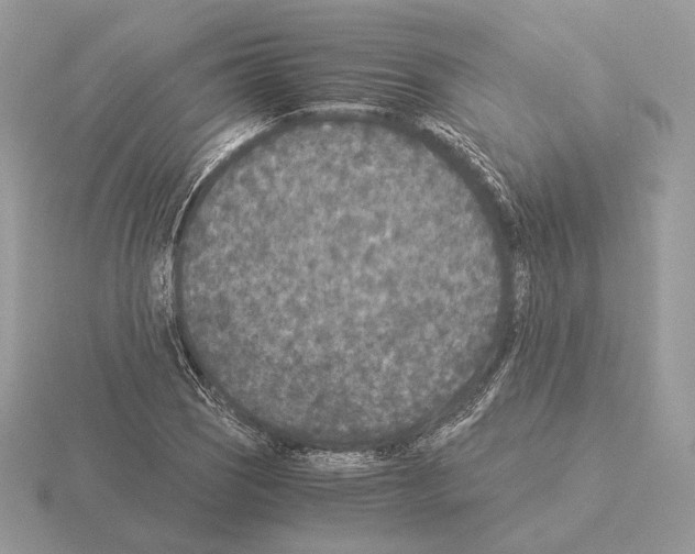 X0000115301121200912141111