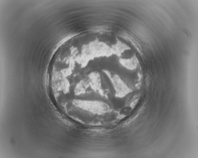 X0000115301125200912141111