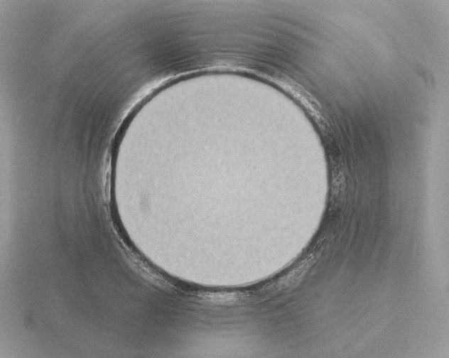 X0000115301126200912141111