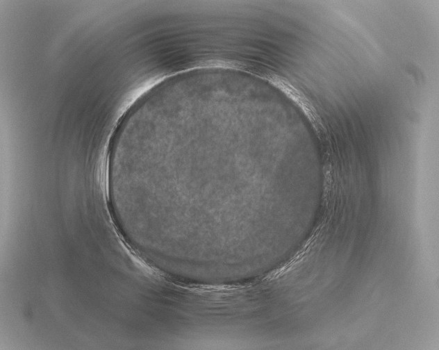 X0000115301127200912141111