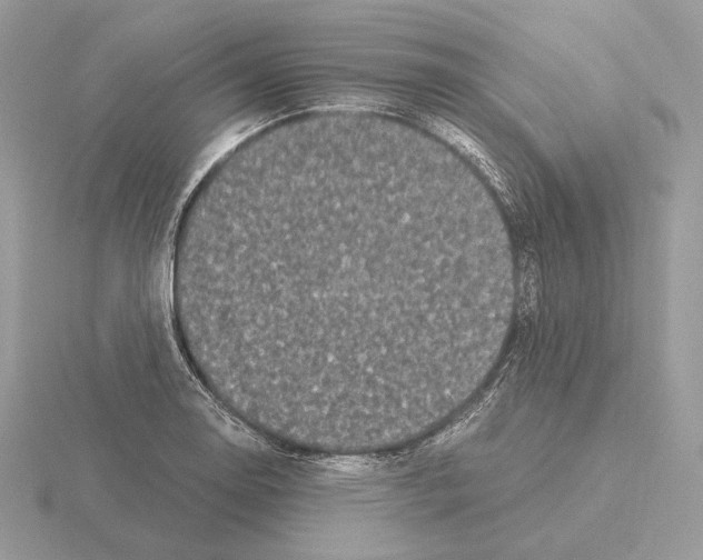 X0000115301130200912141111