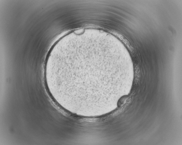 X0000115301134200912141111