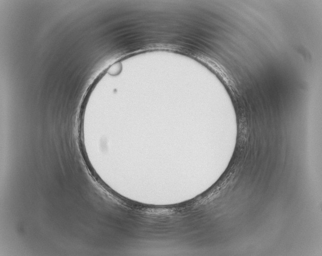 X0000115301135200912141111