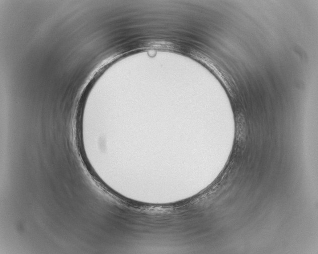 X0000115301139200912141111