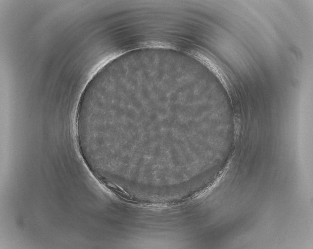 X0000115301141200912141111