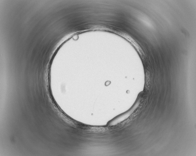 X0000115301142200912141111