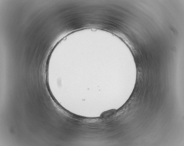 X0000115301143200912141111