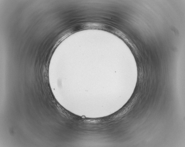 X0000115301145200912141111