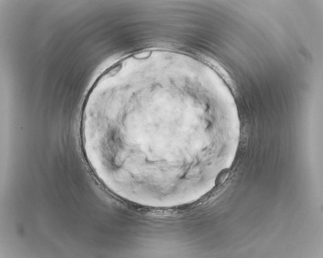 X0000115301146200912141111