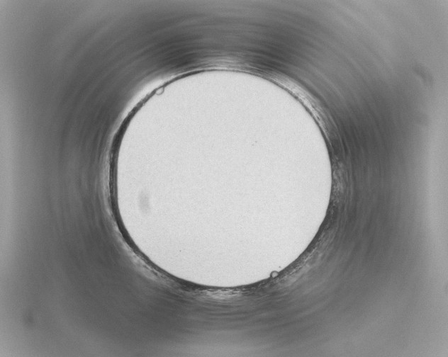 X0000115301147200912141111