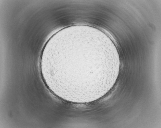 X0000115301149200912141111