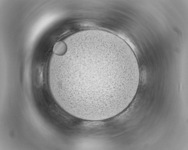 X0000115301150200912141111