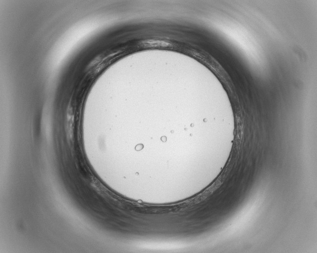 X0000115301151200912141111