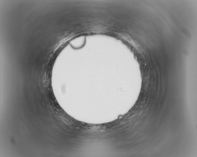 X0000115301160200912141111