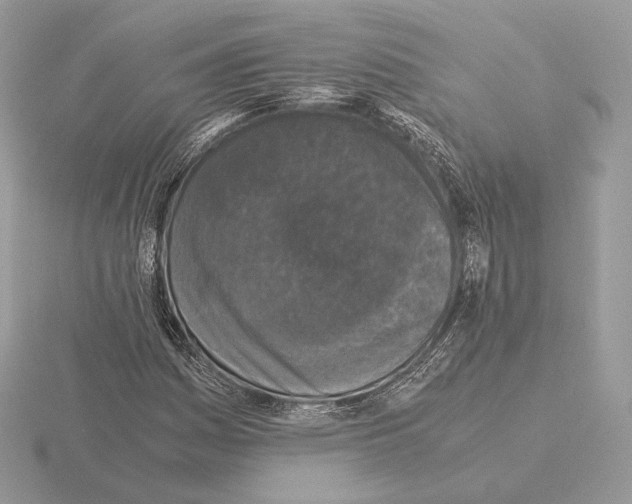 X0000115301161200912141110