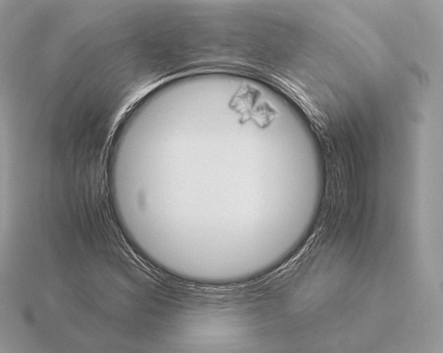 X0000115301164200912141110