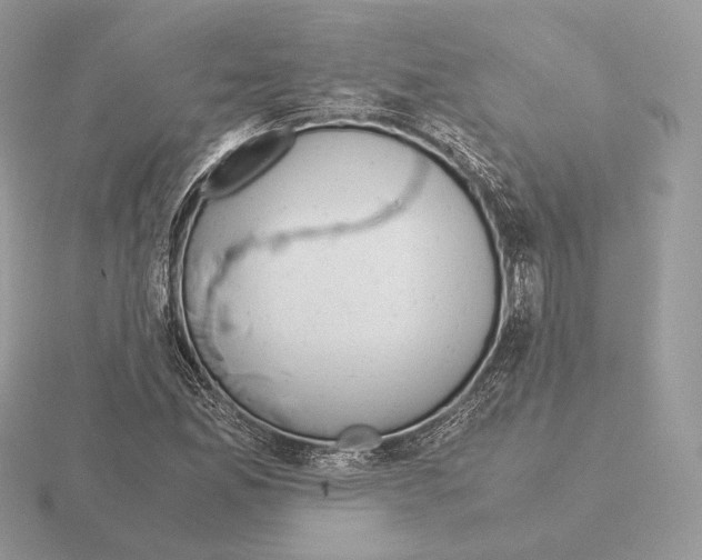 X0000115301165200912141110