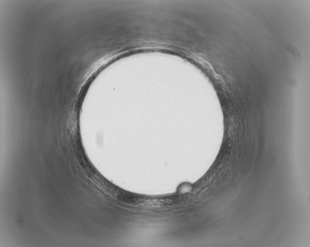 X0000115301167200912141110