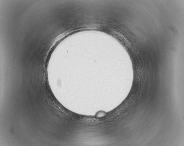 X0000115301168200912141110