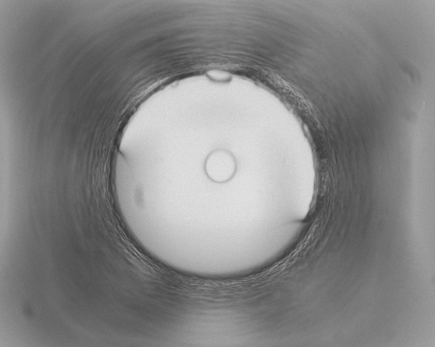 X0000115301169200912141110