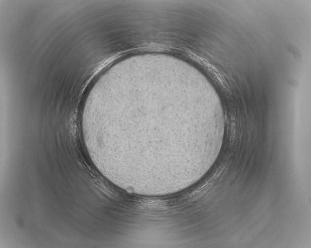 X0000115301170200912141110