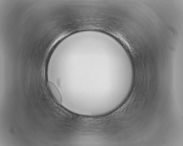 X0000115301173200912141110