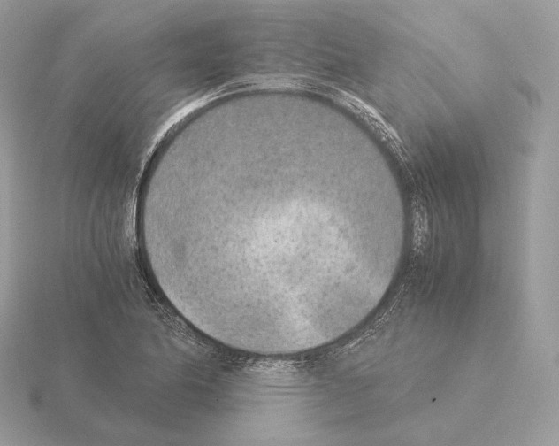 X0000115301174200912141110