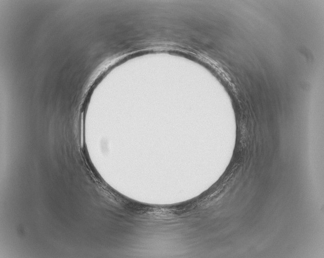 X0000115301175200912141110