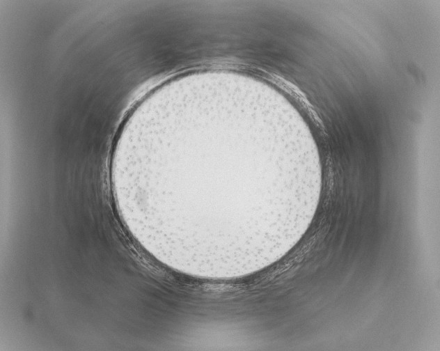 X0000115301176200912141110