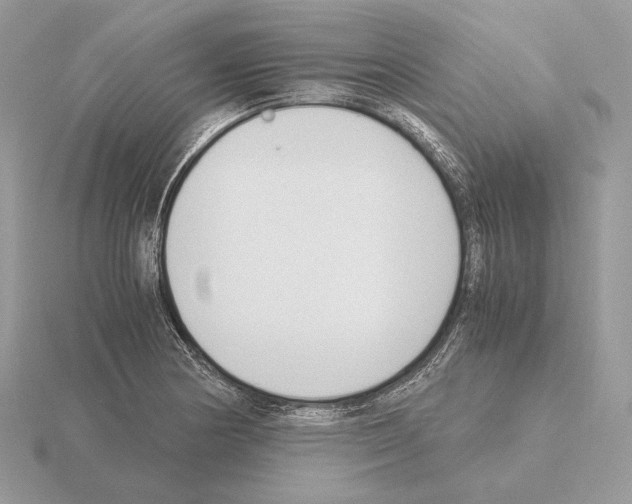 X0000115301178200912141110