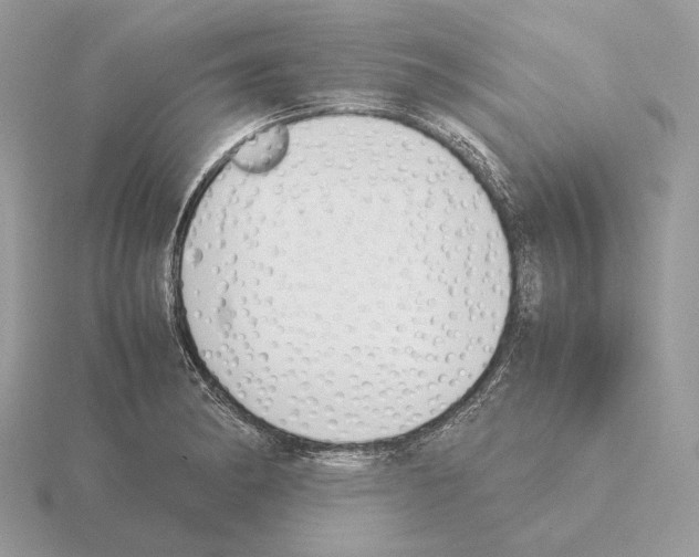 X0000115301182200912141110